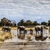 *alt_photos_gallery_image_4*