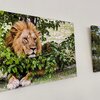 *alt_photos_gallery_image_3*